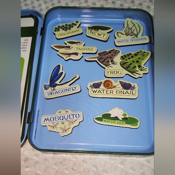 TS SHURE EUC 3 SET TEACHING TINS. ENVIRONMENT BUG SCIENCE BIG CATS. ALL 3 TOG. - Picture 7 of 10